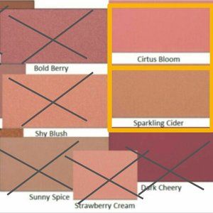 Mary Kay‎ Mineral Cheek Color